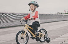 画像をギャラリービューアに読み込む, ライトウェイ ZIT14(14インチ)