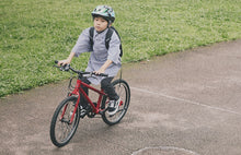 画像をギャラリービューアに読み込む, ライトウェイ ZIT20(20インチ)