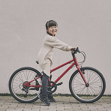 画像をギャラリービューアに読み込む, ライトウェイ ZIT20(20インチ)