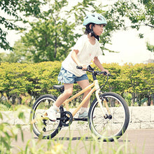 画像をギャラリービューアに読み込む, ライトウェイ ZIT20(20インチ)