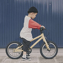 画像をギャラリービューアに読み込む, ライトウェイ ZIT14(14インチ)